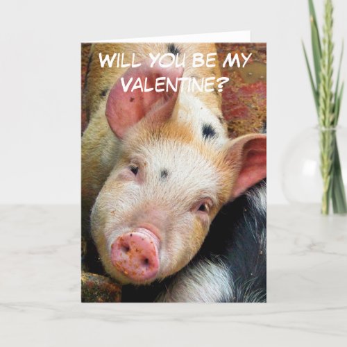 PIGS HOLIDAY CARD