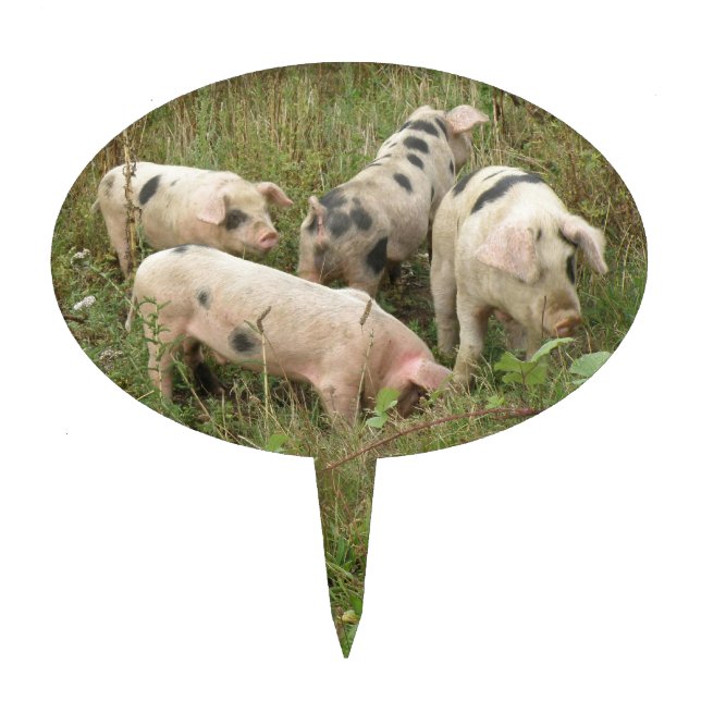 Pigs in a Field Cake Pick (Front)