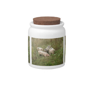 Pigs in a Field Candy Jar