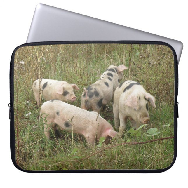 Pigs in a Field Laptop Bag (Front)