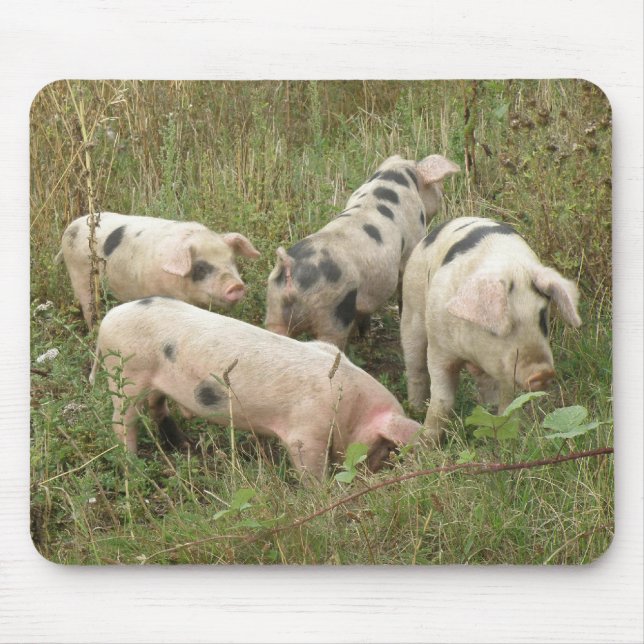 Pigs in a Field Mousepad (Front)