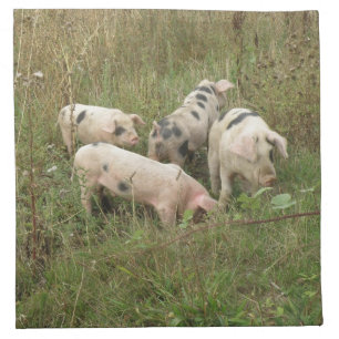 Pigs in a Field Napkin