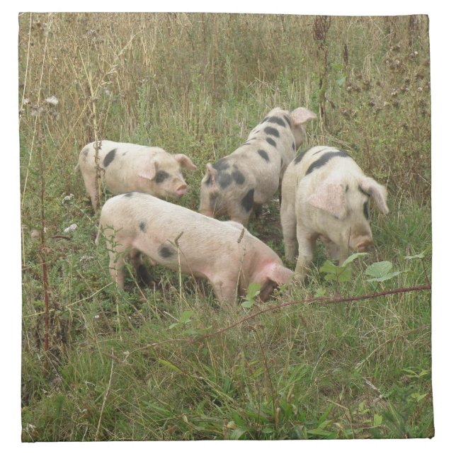 Pigs in a Field Napkin (Front)