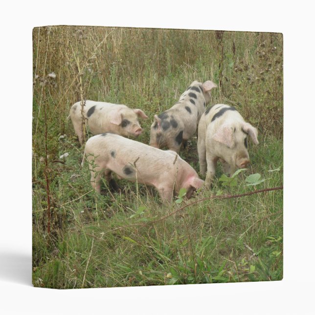 Pigs in a Field Photograph Album Binder (Front/Spine)