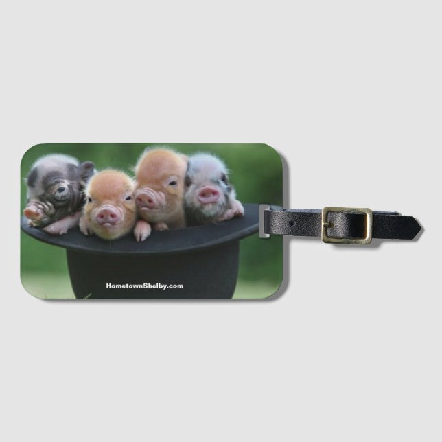 Pigs In A Hat Bag Tag (Front Horizontal)