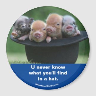 Pigs in a hat magnet