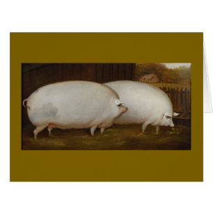 Pigs in Love Cards