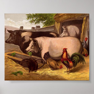 Pigs in the Barnyard Poster