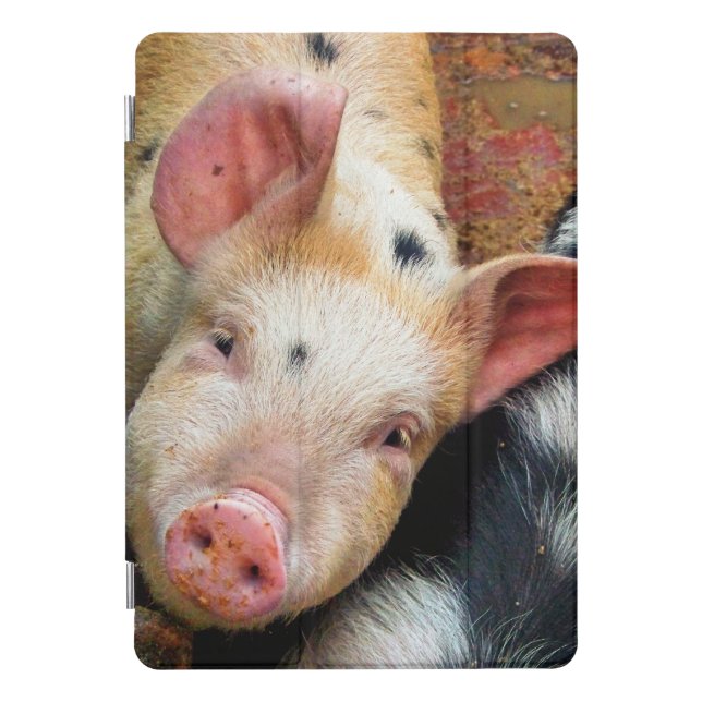 PIGS  iPad PRO COVER (Front)