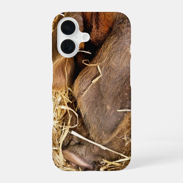 PIGS IPHONE CASE (Back)