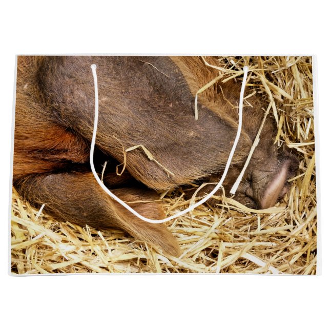 PIGS LARGE GIFT BAG (Front)