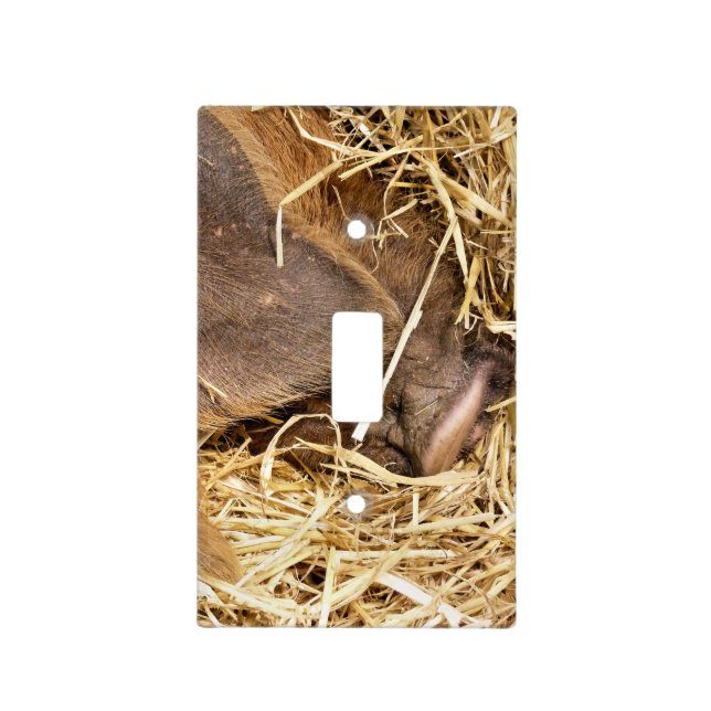 PIGS LIGHT SWITCH COVER (Front)