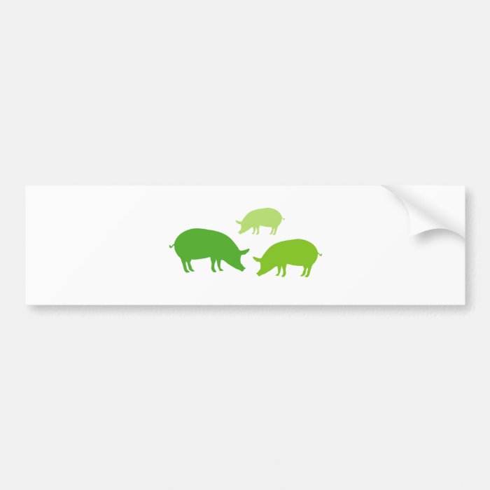 Pigs Looking for Food (Green) Bumper Stickers