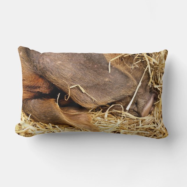 PIGS LUMBAR PILLOW (Front)