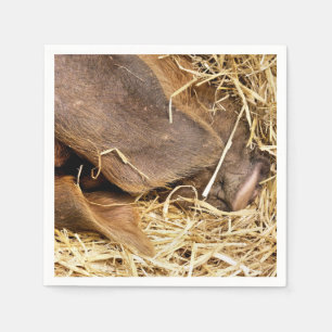 PIGS NAPKINS