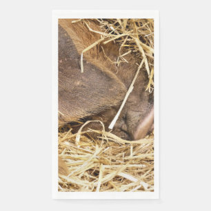 PIGS PAPER GUEST TOWELS