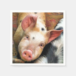 PIGS PAPER NAPKINS