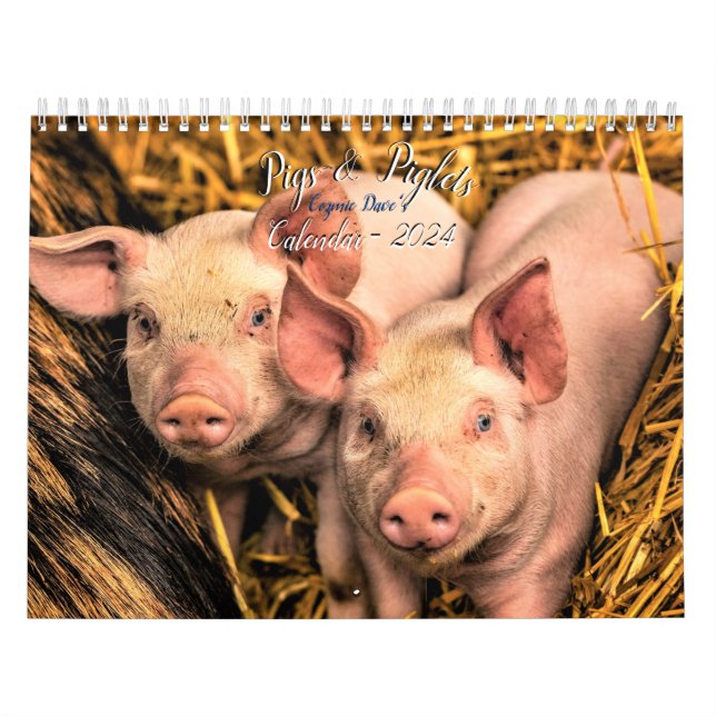 Pigs & Piglets Calendar - 2024 (Cover)