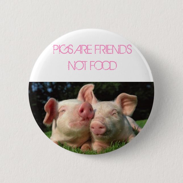 pigs, PIGS ARE FRIENDS NOT FOOD Pinback Button (Front)