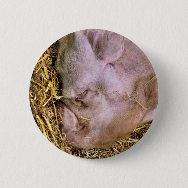 PIGS PINBACK BUTTON (Front)