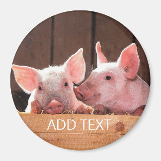 Pigs Round Magnet