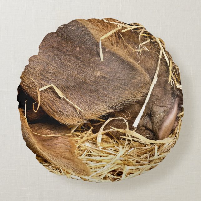 PIGS ROUND PILLOW (Front)