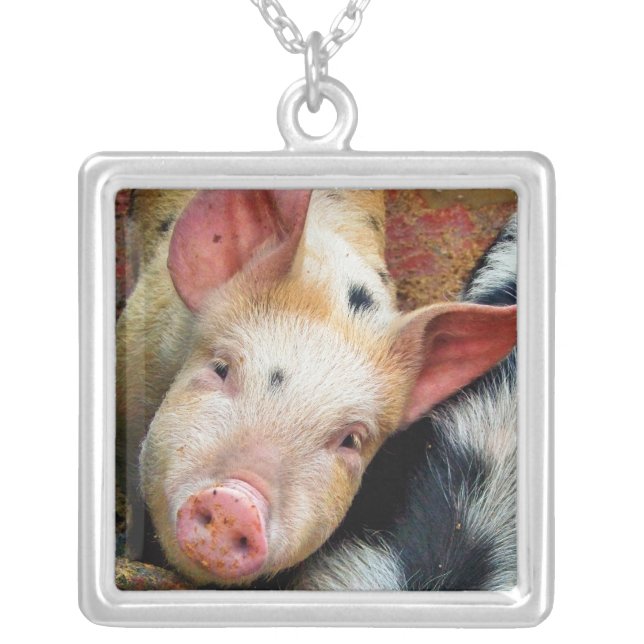 PIGS SILVER PLATED NECKLACE (Front)