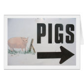 Pigs This Way (Front Horizontal)