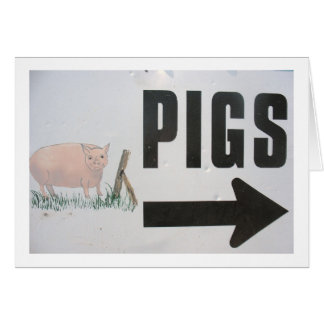 Pigs This Way Cards