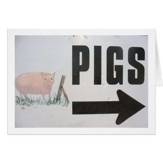 Pigs This Way Cards (Front Horizontal)