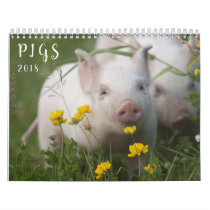 Pigs Wall Calendar - Smile in 2018