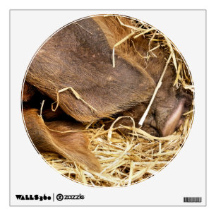 PIGS WALL DECAL