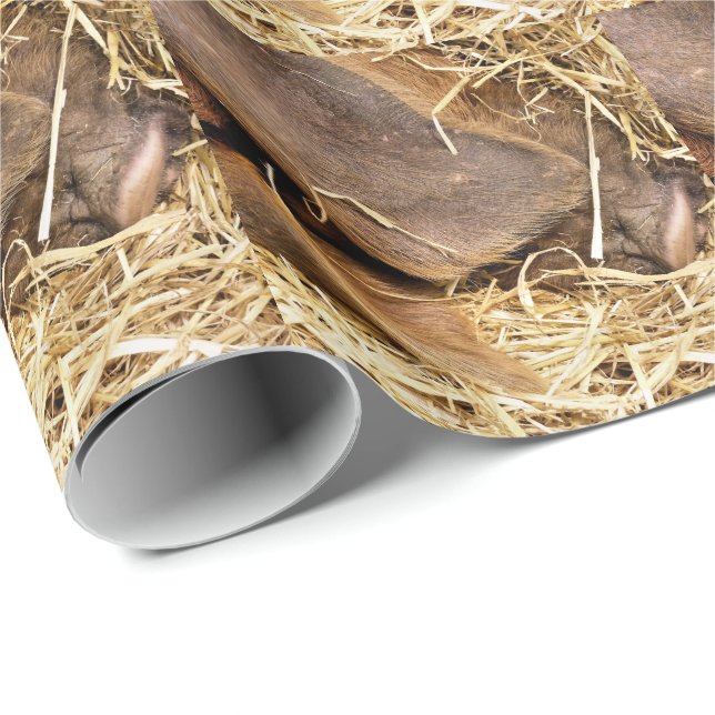 PIGS WRAPPING PAPER (Roll Corner)