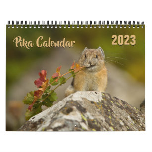 PIka 2023 Calendar