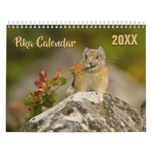 PIka 2026 Calendar