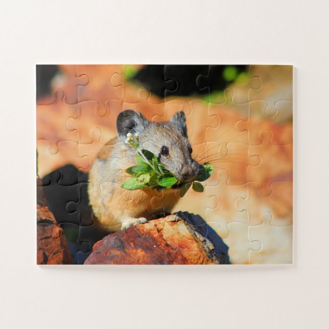 Pika Chewing On Plants Jigsaw Puzzle (Horizontal)