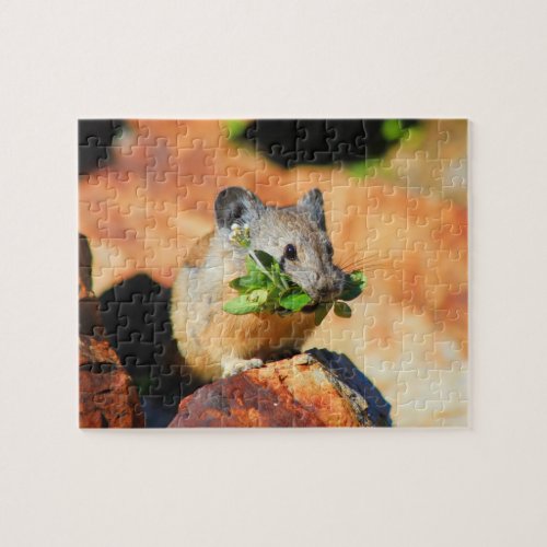 Pika Chewing On Plants Jigsaw Puzzle