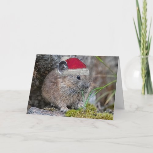 Pika Christmas Card