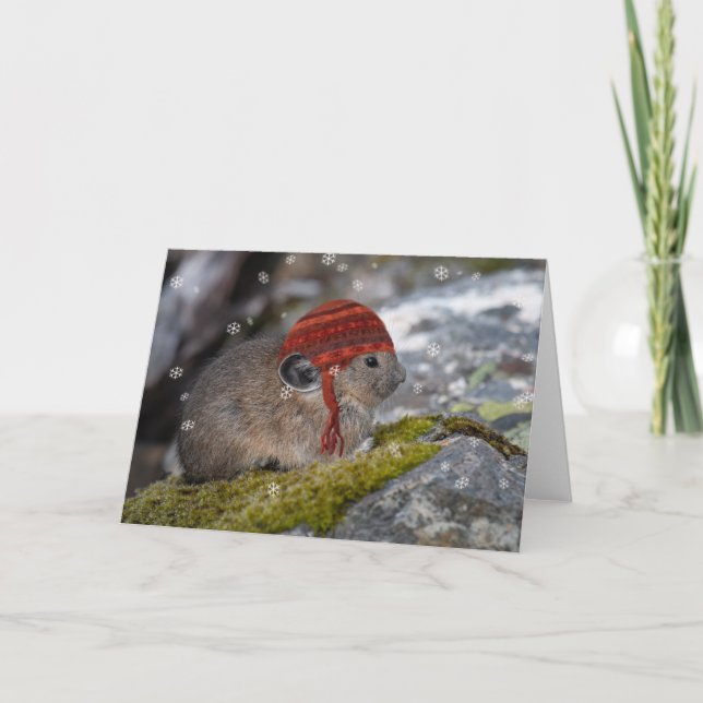 Pika Christmas Card (Front)