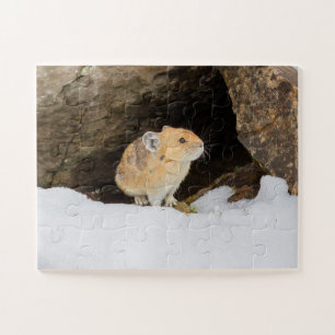 Pika In Snow Jigsaw Puzzle