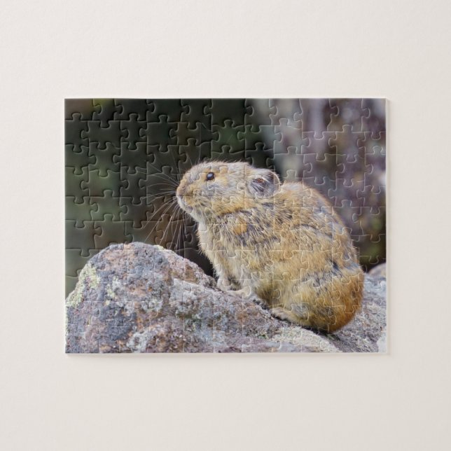 Pika Jigsaw Puzzle (Horizontal)