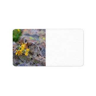 pika label