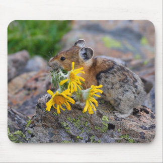 Pika Mouse Pad