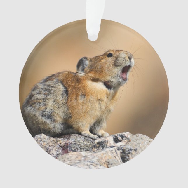 Pika Ornament (Front)
