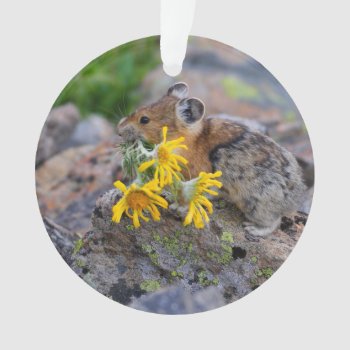Pika Ornament by WorldDesign at Zazzle