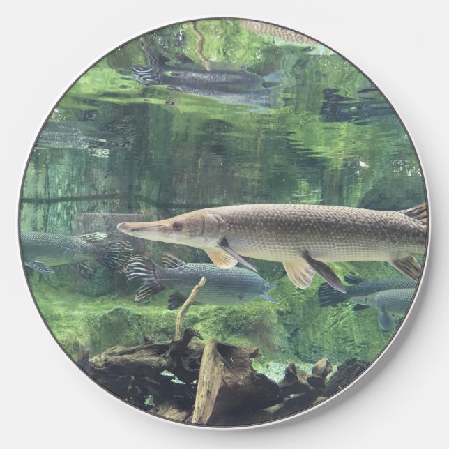 Pike Fish Ckear Water Photo Wireless Charger (Front)