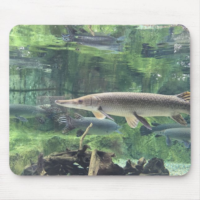 Pike Fish Mouse Pad (Front)