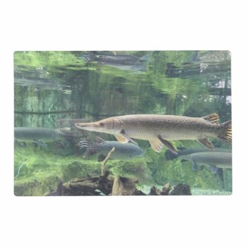 Pike Fish Placemat by beachcafe at Zazzle