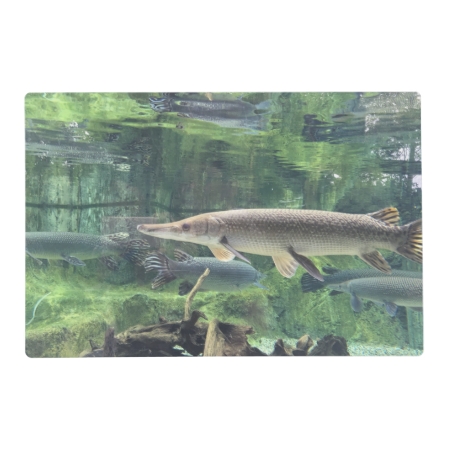Pike Fish Placemat
