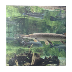 Pike Fish Tile